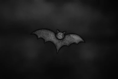 Bat Desktop Wallpaper, Bat Background, New Wallpapers