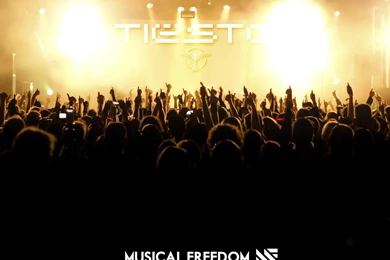 Tiesto Concert Crowd Wallpaper.
