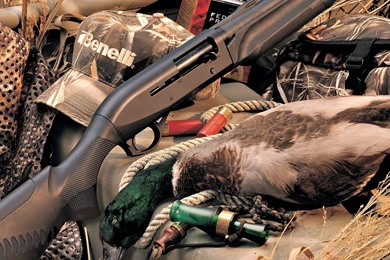 Gallery For   Goose Hunting Desktop Wallpapers