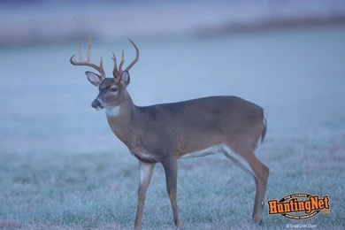 Desktop Backgrounds Hunting   1661606