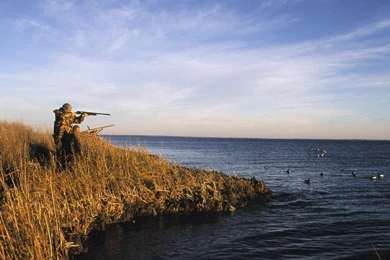 Things You Should Know About Duck HuntingARCC Water