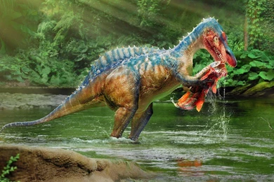 Dinosaur Hunting HD Desktop Wallpapers : Widescreen : High ...