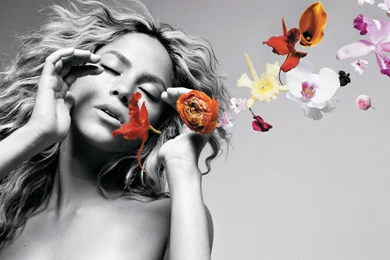 Wallpapers Shakira Animaatjes 8 Wallpapers