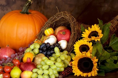 Fall Harvest HD Wallpapers For Mac 3869   Amazing Wallpaperz