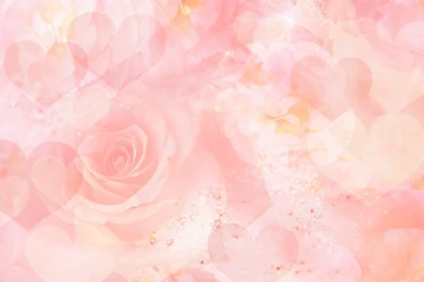 Images Of Roses Backgrounds 822