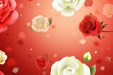 Download Wallpapers 1024x1024 Flowers, Roses, Background, Texture ...