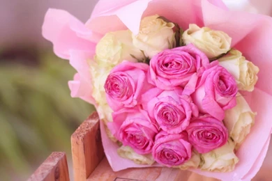 Flower Flowers Bouquet Roses Pink White Backgrounds Wallpapers ...