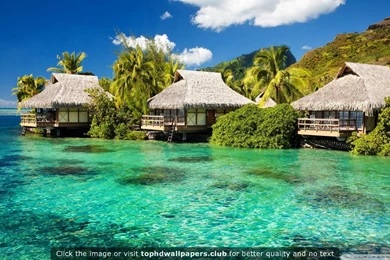 Page 4 Of Best Island 4K Or HD Wallpapers