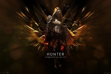 Gallery For   Destiny Guardian Wallpapers