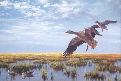 Artistic Hunting Index Of