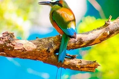 Galaxy S3 Wallpapers HD   Beautiful, Stunning Wallpapers