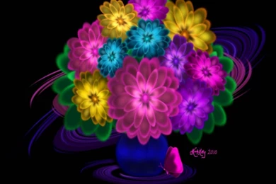 Colorful Daisies HD Wallpapers