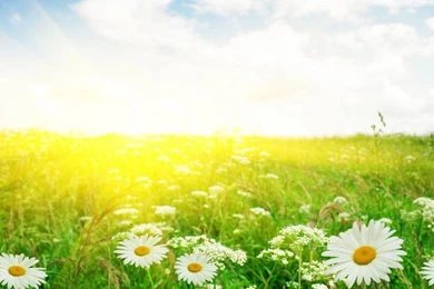 Summertime Desktop Backgrounds: Autumn By Free Download Best HD ...