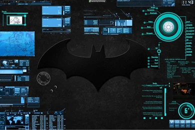 BAT COMPUTER INTERFACE