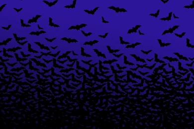 Cartoon Bat Wallpapers   Cartoon Wallpapers