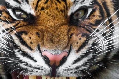 Wallpapers Samsung Galaxy Note 3 Awesome Hi Quality