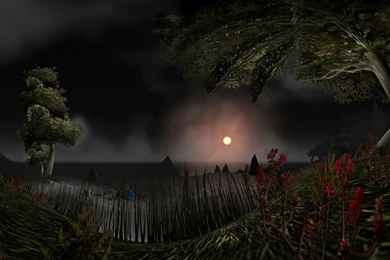 Moon Over The Coast HD Wallpapers