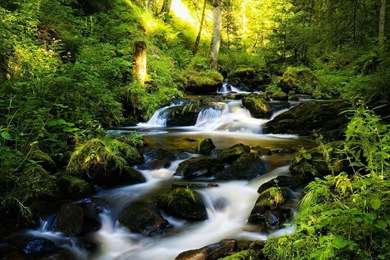 HD Wallpapers 1280x1024 0.jpg