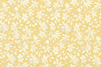 Floral Background Images   Wallpapers HD Fine