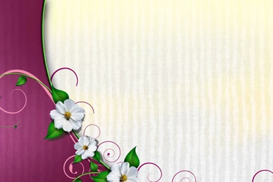 Fondo Video Backgrounds HD Gratis Ovalo Floral   YouTube