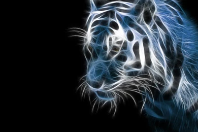 Wallpaper Images And Pictures 3d Hd Wallpapers   (