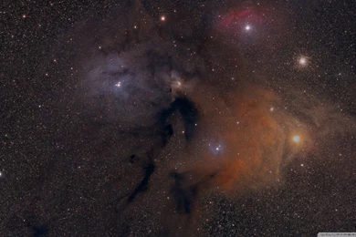 Cosmos HD Desktop Wallpapers : High Definition : Fullscreen : Mobile