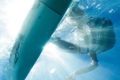 Surfing Wallpapers   Surfd