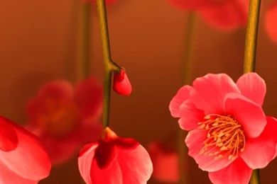 Beach Iphone 8 Wallpapers