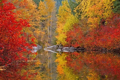 Gallery For   Computer Wallpapers Autumn Colors