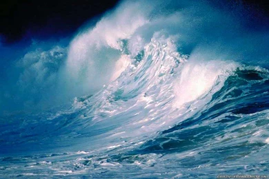 Ocean Wallpapers 2   Crazy Frankenstein