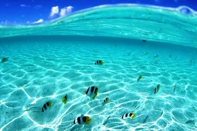 Best Nature Wallpapers Ocean