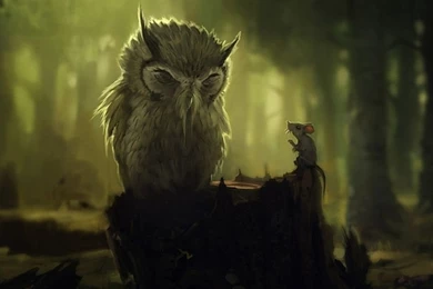 The Wise Owl HD Desktop Wallpapers : Widescreen : High Definition ...