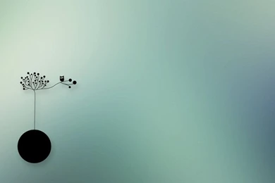 Wallpapers Owl By Martinxxfire On DeviantArt