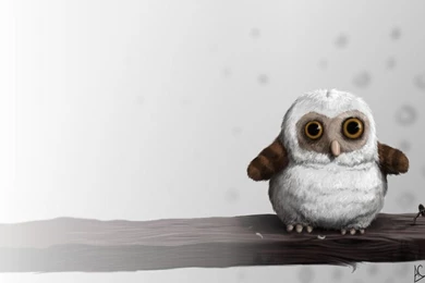 Barn Owl Wallpapers By Froggywoggy11 On DeviantArt