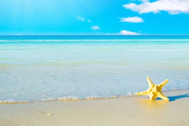 Beach Archives   Free Wallpapers Full Hd 1080p, High Definition ...