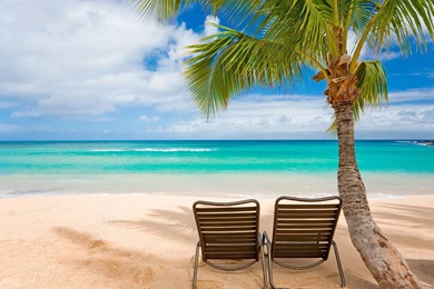 Tropical Beach Chair Wallpapers