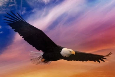 iPhone Wallpapers On Pinterest