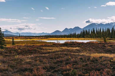 Yo Dawgs, I Heard You Like 4K UHD Wallpapers Part Deux Album ...