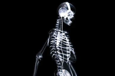 Full HD 1080p Bone Wallpapers HD, Desktop Backgrounds 1920x1080