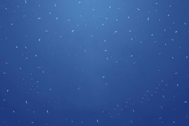 47 Free Simple Wallpaper Backgrounds For Your Desktop