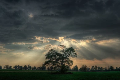 1080p Wallpapers   CoolWallpapers.id