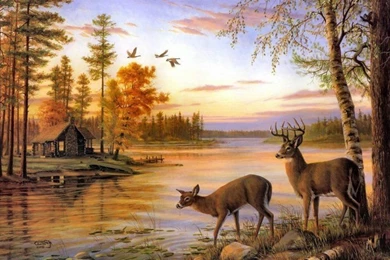 In Hd Deer Backgrounds Wallpapers Deer Desktop Wallpapers In Hd ...