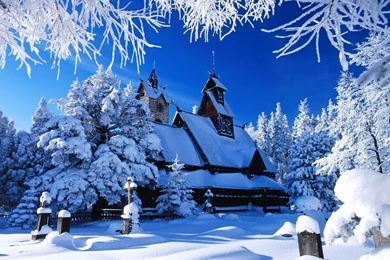 Free Winter Wallpapers Hd ~ Toptenpack.com