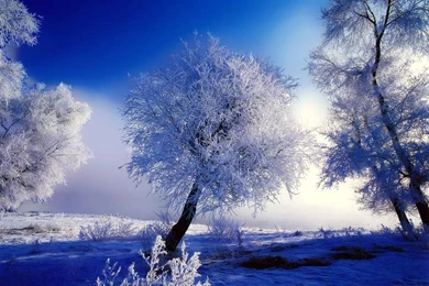 Wallpapers Gremlin – Wallpaper Backgrounds For Your PC – Part 90 ...