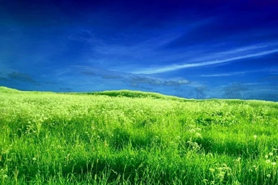 Sky Grass Wallpapers   Wallpaper.