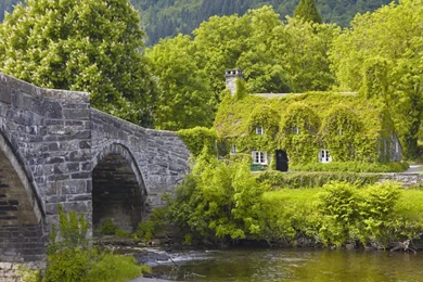 1440x900 Nature Wallpapers (7)   ETC Fun Club