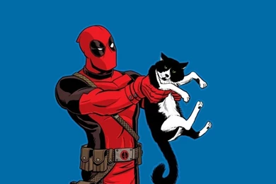 Deadpool With A Cat iPad 1 & 2 Wallpapers