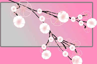 Flowers PPT Backgrounds Templates   Download Free Flowers ...