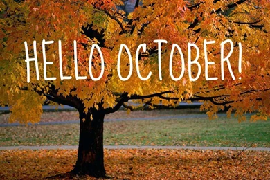 AUTUMN Fall Tree Forest Landscape Nature Leaves October Wallpapers ...