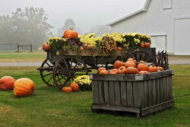 World October Fresh New Hd Wallpapers [Your Popular HD Wallpapers ...